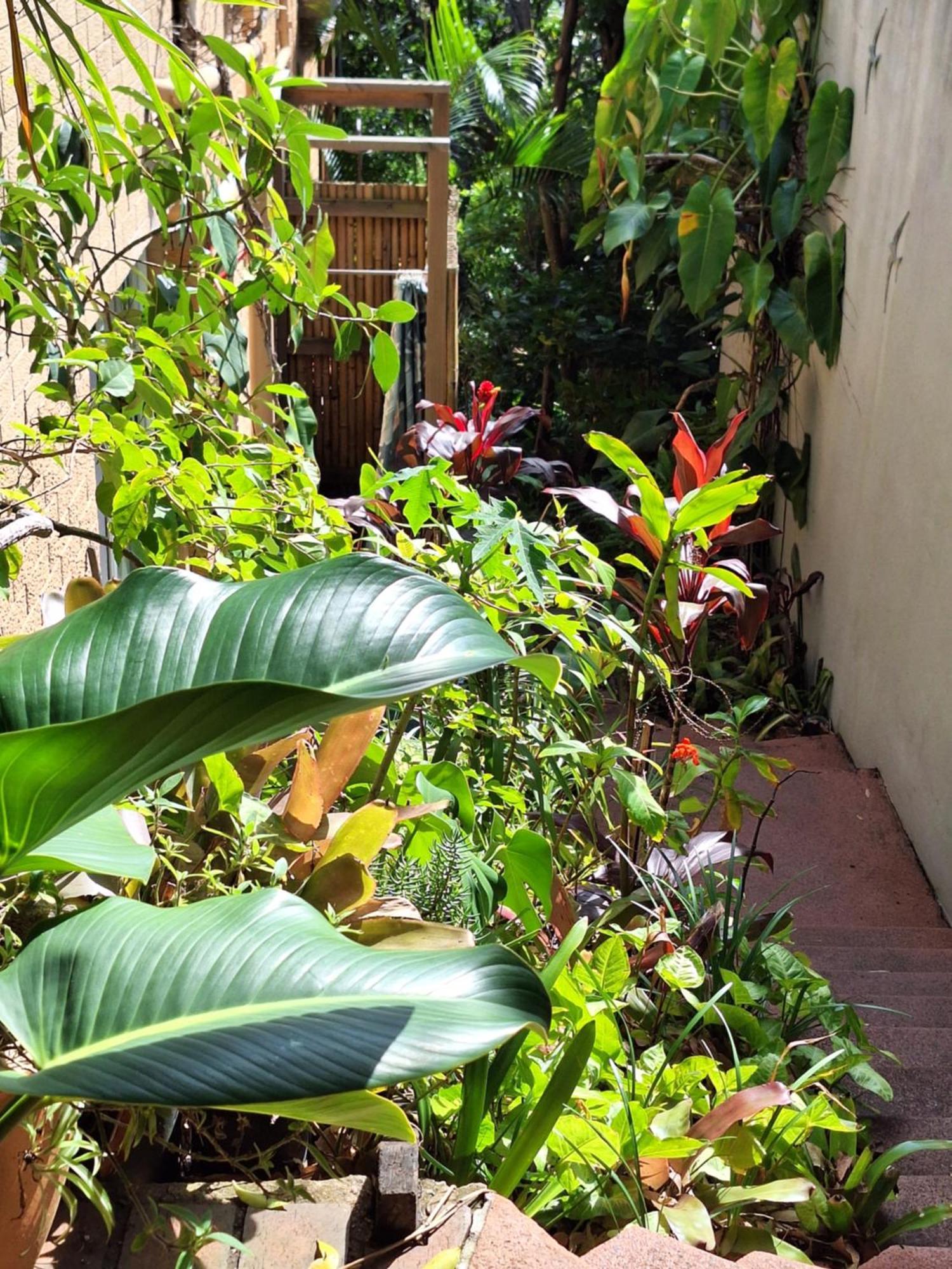 Wategosrent Apartment Byron Bay Exterior photo